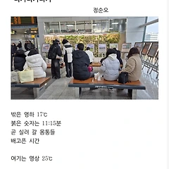 디카디카디카 썸네일