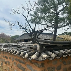 108. 오빠생각 썸네일