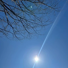 8. 결혼전야 썸네일