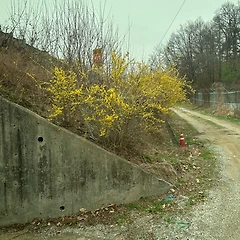 29. 선택  썸네일