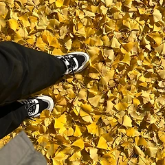 27. 철밥통 아내 썸네일