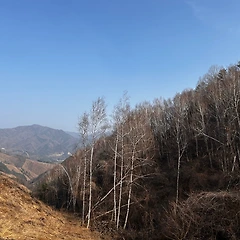 26. 어머니의 소풍 썸네일