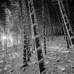 17.차라리 운명이었지, 그 이별은 썸네일