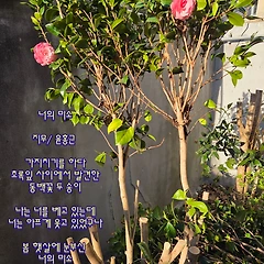 너의 미소 썸네일