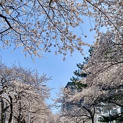 나는 그 표정을 알고 있었다 3 썸네일