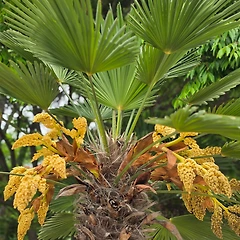 노란 간판이었다. 썸네일