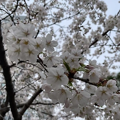 ‘쓸데없는 것‘ 은 없다. * 썸네일