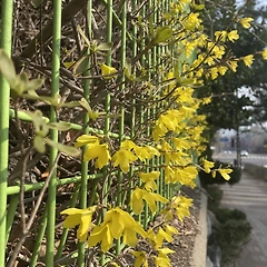 녹내장과 불안  _ 2 썸네일