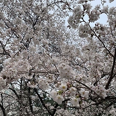 ‘쓸데없는 것’ 은 없다. _ 1 썸네일