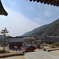 1박 2일 여행은 그림의 떡 썸네일