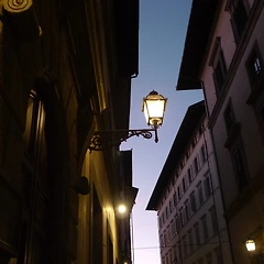 너를 언어로 기억할 수 없게 되었어. 썸네일