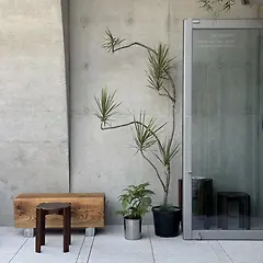 세상이 아니라 마음이 흔들릴 때 썸네일