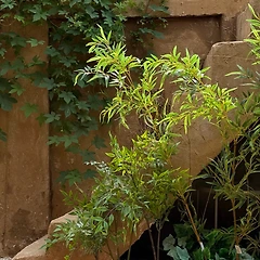 봄은 이미 시작되고 있었다 썸네일