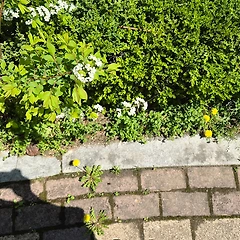 기뻐서, 예뻐서, 아름다워서 썸네일