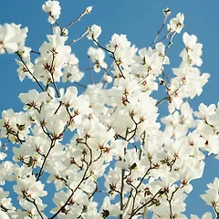 오랜 이별뒤에 썸네일