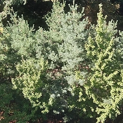 그대로 좋다 썸네일