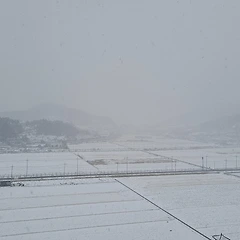 어떤날 #37 썸네일