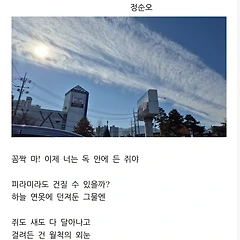 해를 잡다 썸네일