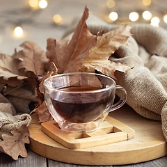 62. 미안하다는 말을 연습 중인 너에게 썸네일