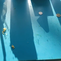 한국전쟁 -김달삼 , 워커, 히긴스, 이학구, 임응식 썸네일