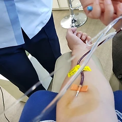 489, 490, 492, 494회 헌혈일기 썸네일