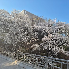 내 마음이 그린 세상, 唯識無境 썸네일