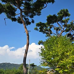 연주대의 바람소리 썸네일