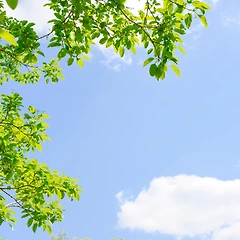 64. 완벽한 이해를 바랐던 너에게. 썸네일