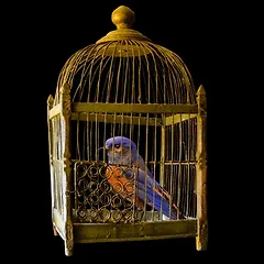 익숙함은 생각을 시들게 한다. 썸네일