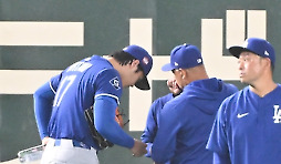 카툰