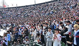카툰