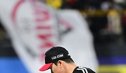 카툰