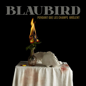 BlauBird - Pendant que les champs brûlent (reprise Niagara)