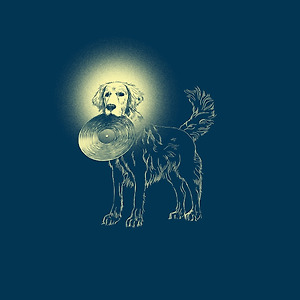 RETRIEVER - Purple