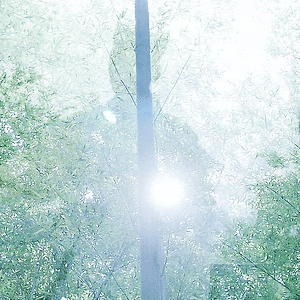 군도 조윤 gif 64