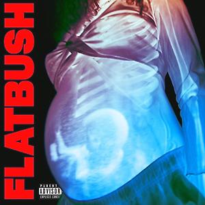 Flatbush ZOMBiES - Afterlife