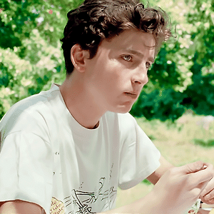 Call Me By Your Name (2018) 티모시 샬라메