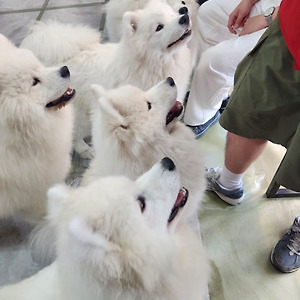 [국내여행] 홍대 '겨울이 머무는 집'