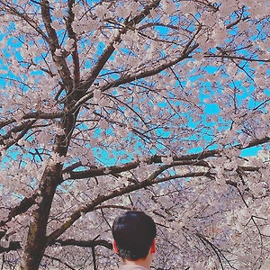 김동욱 일코 배경화면