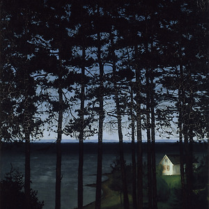 dark in the house 19c