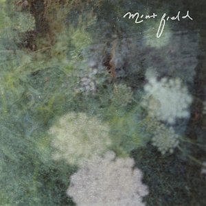 Mint Field - Delicadeza