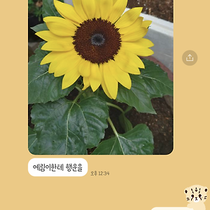 요즘 날씨 꿀꿀쓰☔️ 내 기분도? 꿀꿀쓰💧