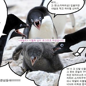 에더야 룩이 그게뭐니