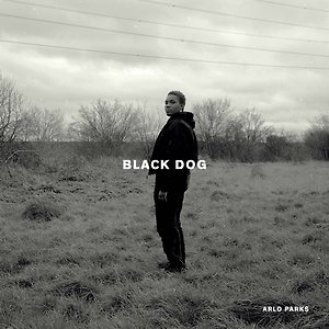 Arlo Parks - Black Dog