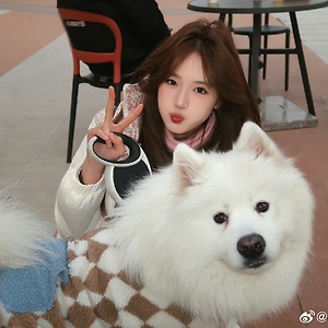 [胡馨尹/후신인] 작은 나비 후신인 웨이보