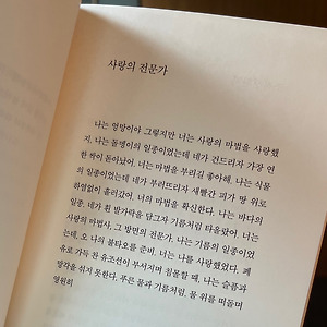 사랑의 전문가