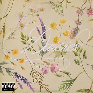 Tiana Kocher - Daisies