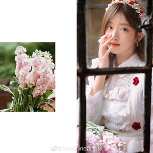 AKB48 TEAM SH 胡馨尹 후신인 웨이보