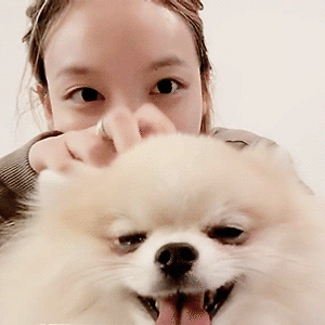 200907 ㅎㅎ V LIVE 나연 움짤 - 5p
