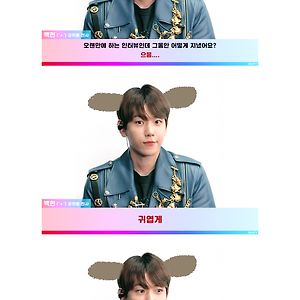 강쥐별 백현 군 인터뷰
